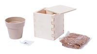 VASO CON SEMI